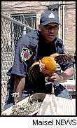 647-rooster_vrt.JPG