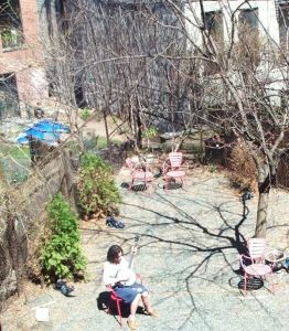 Plink plonk. Click to enlarge