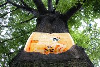 Atreegrows