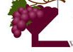 Fermentedgrapes